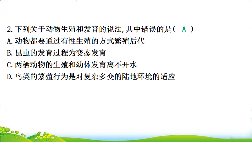 17608896第5页