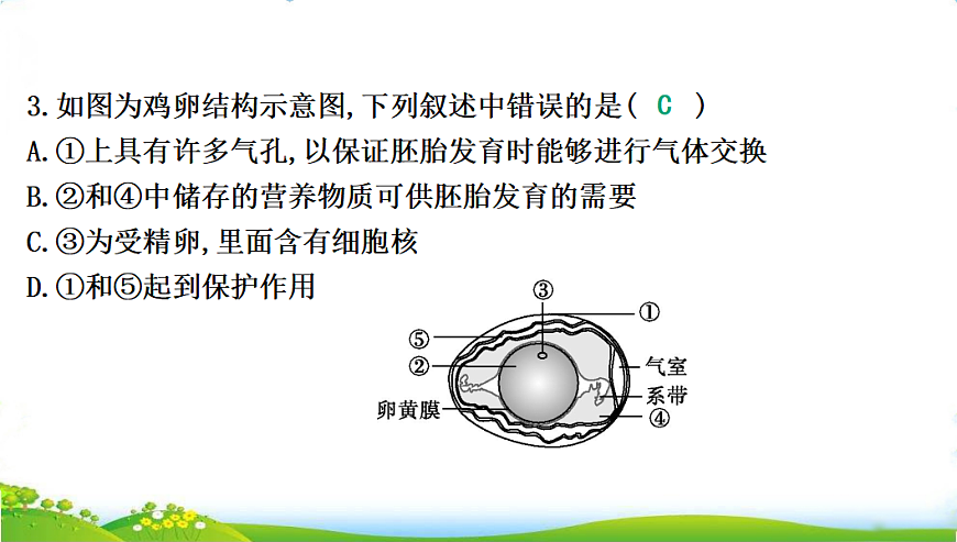 17608896第6页