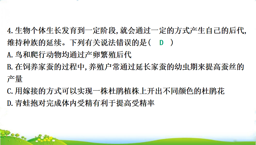 17608896第7页