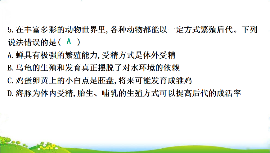 17608896第8页