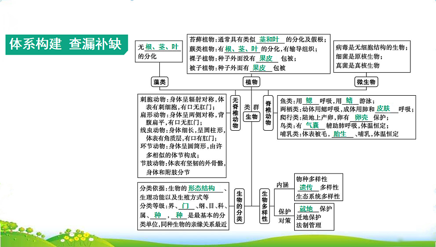 17608898第2页