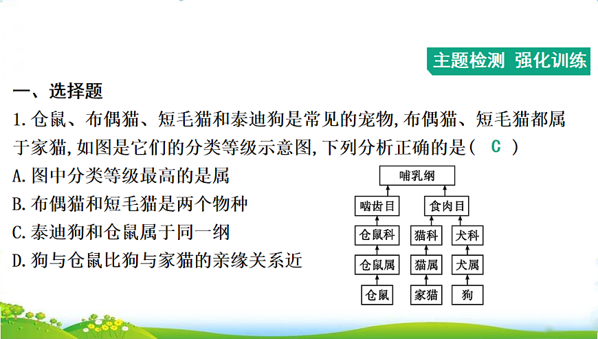 17608898第3页