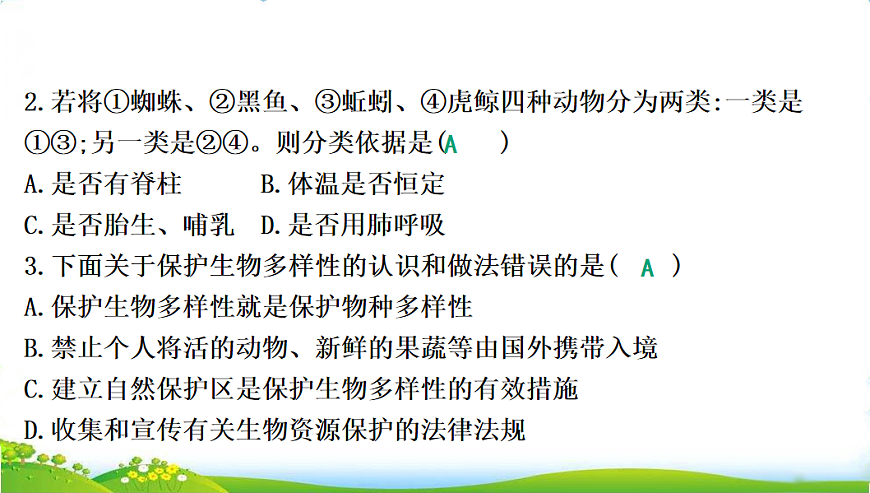 17608898第4页