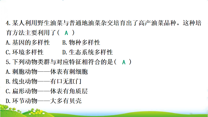 17608898第5页