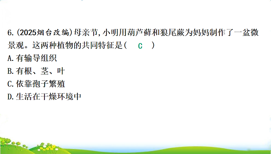 17608898第6页