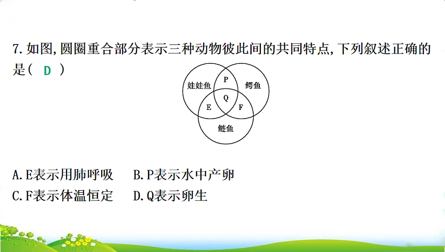 17608898第7页