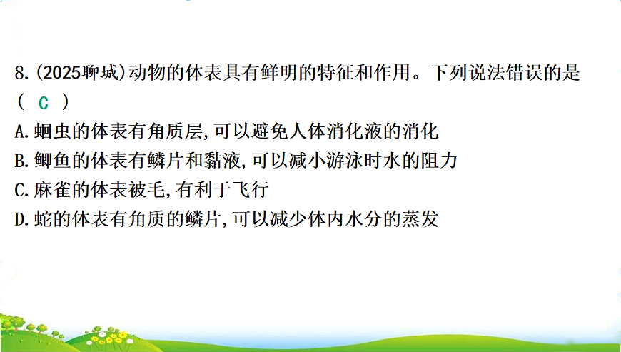 17608898第8页
