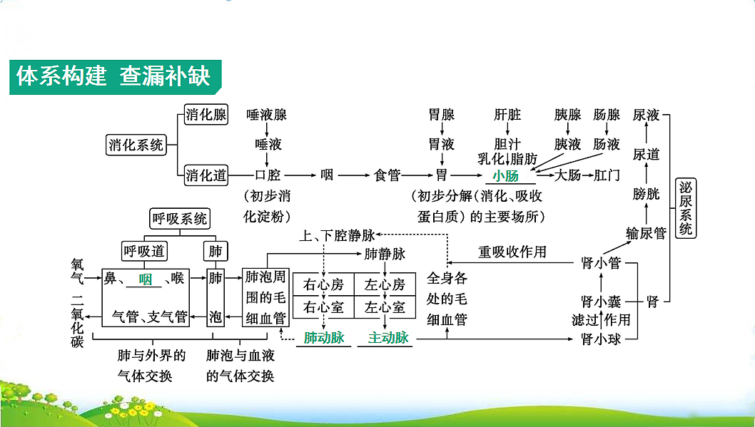 17608901第2页