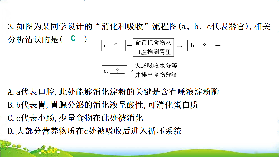 17608901第5页