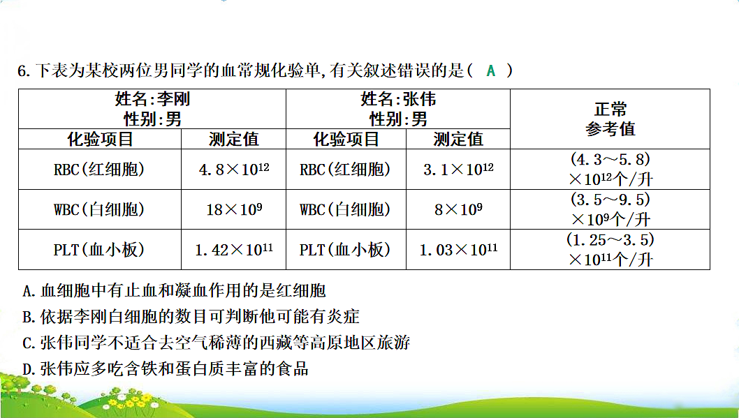 17608901第8页