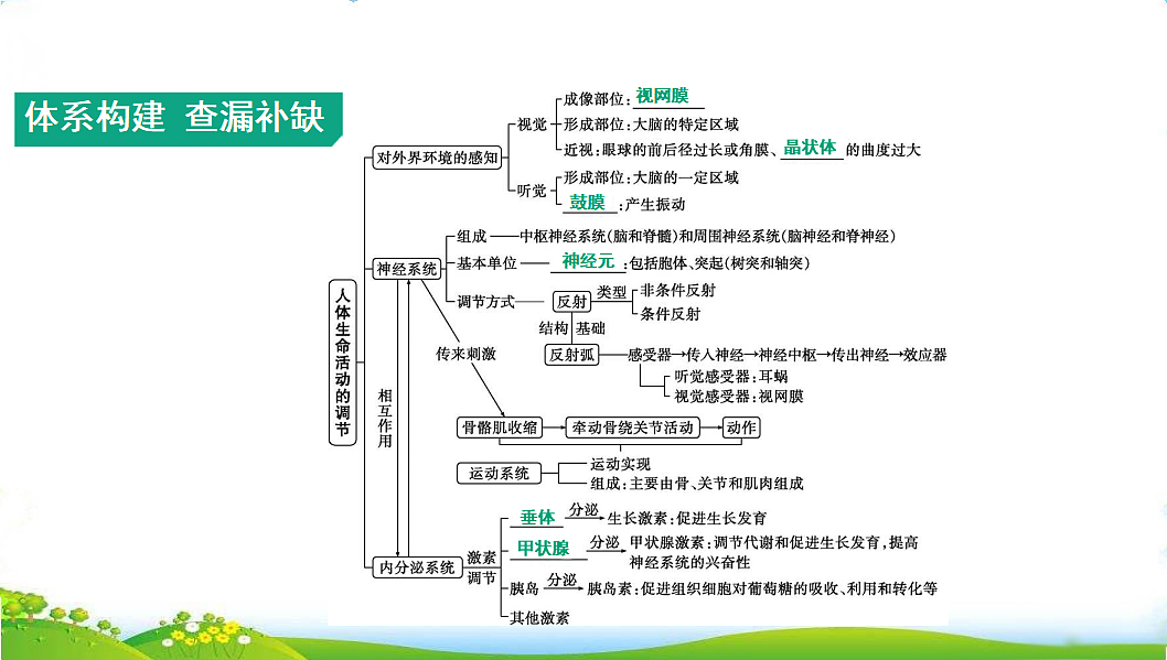 17608902第2页
