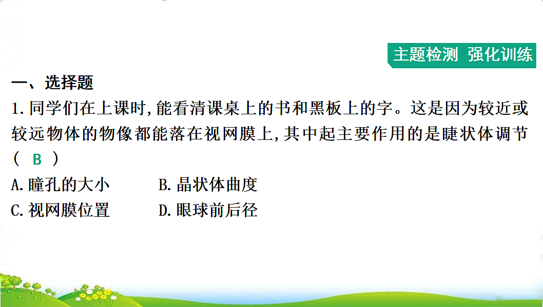17608902第3页