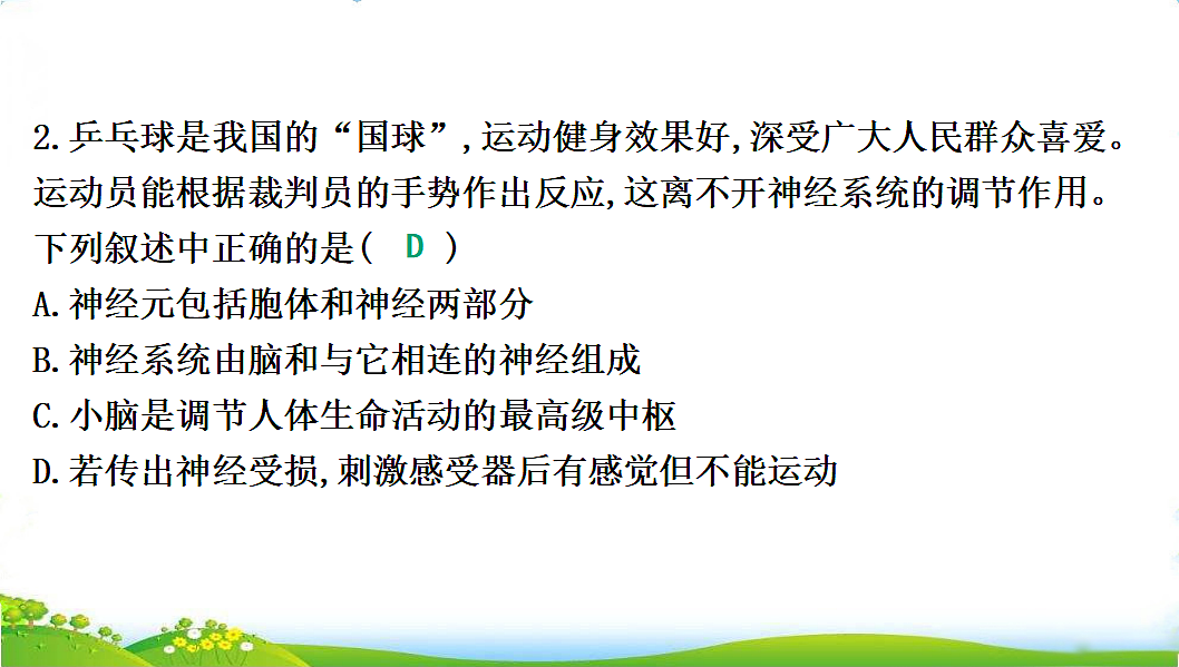 17608902第4页