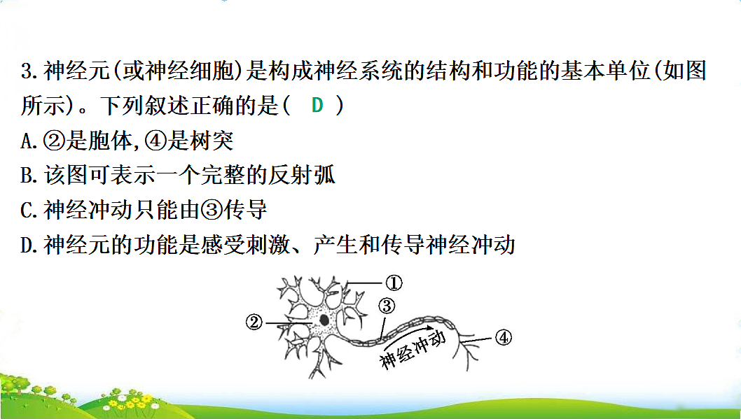 17608902第5页