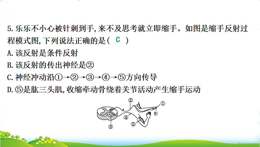17608902第7页