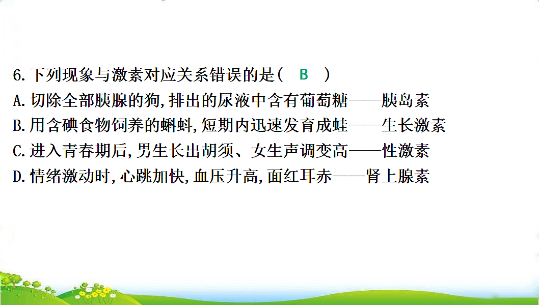 17608902第8页