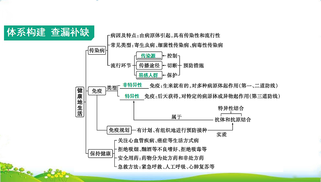 17608903第2页