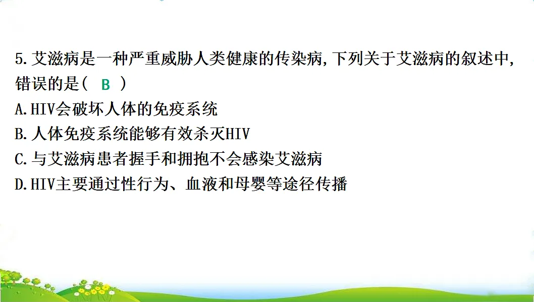 17608903第7页