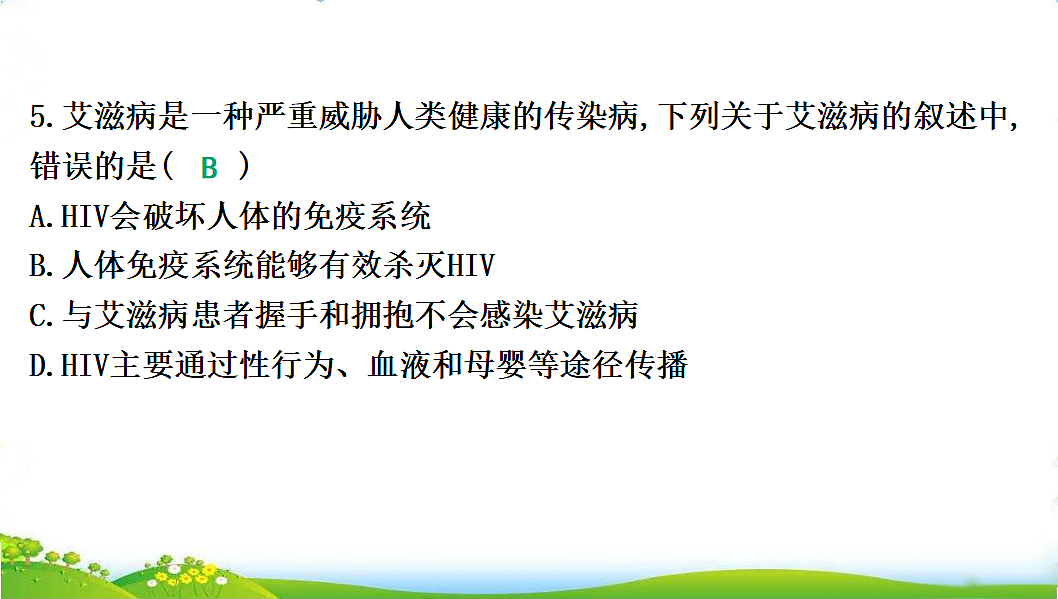 17608903第7页