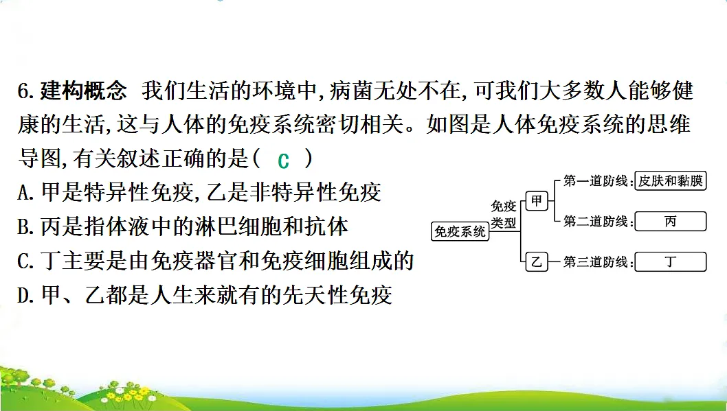 17608903第8页