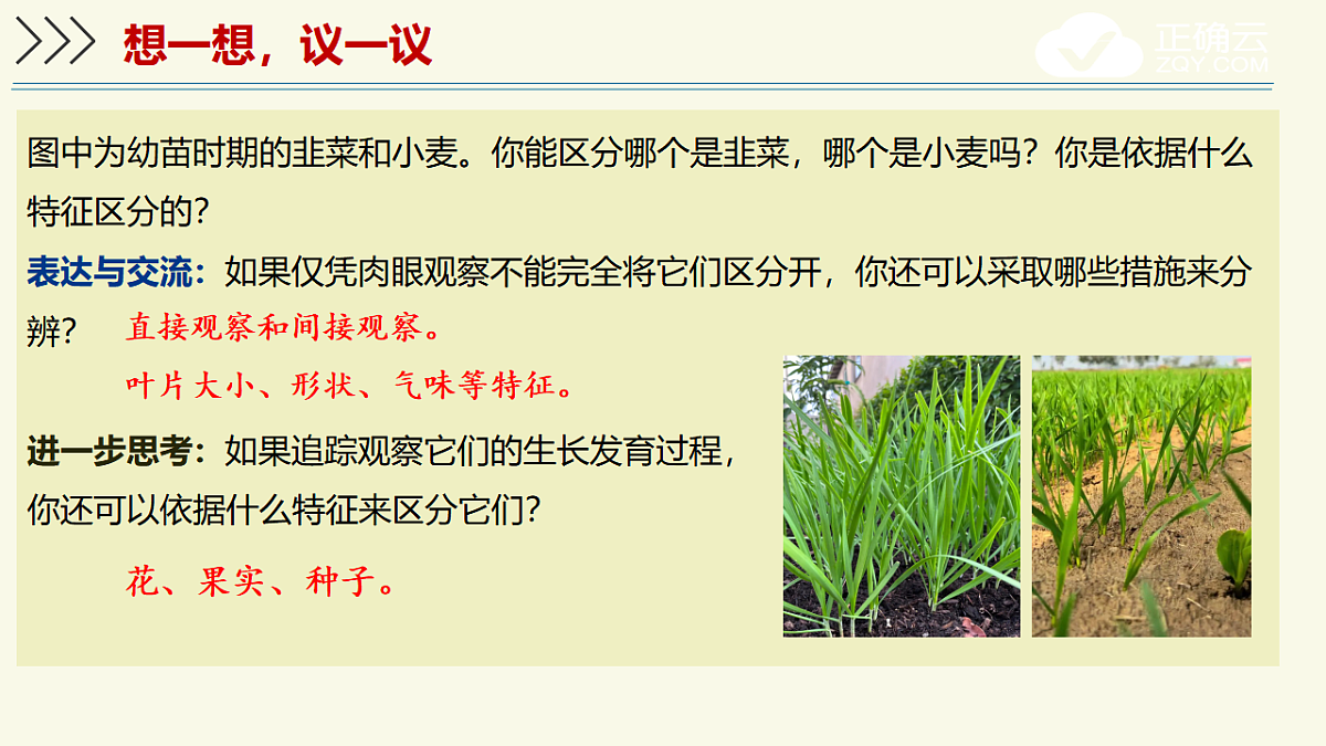17609238第3页