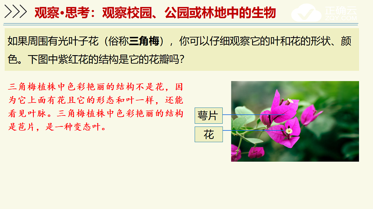 17609238第7页
