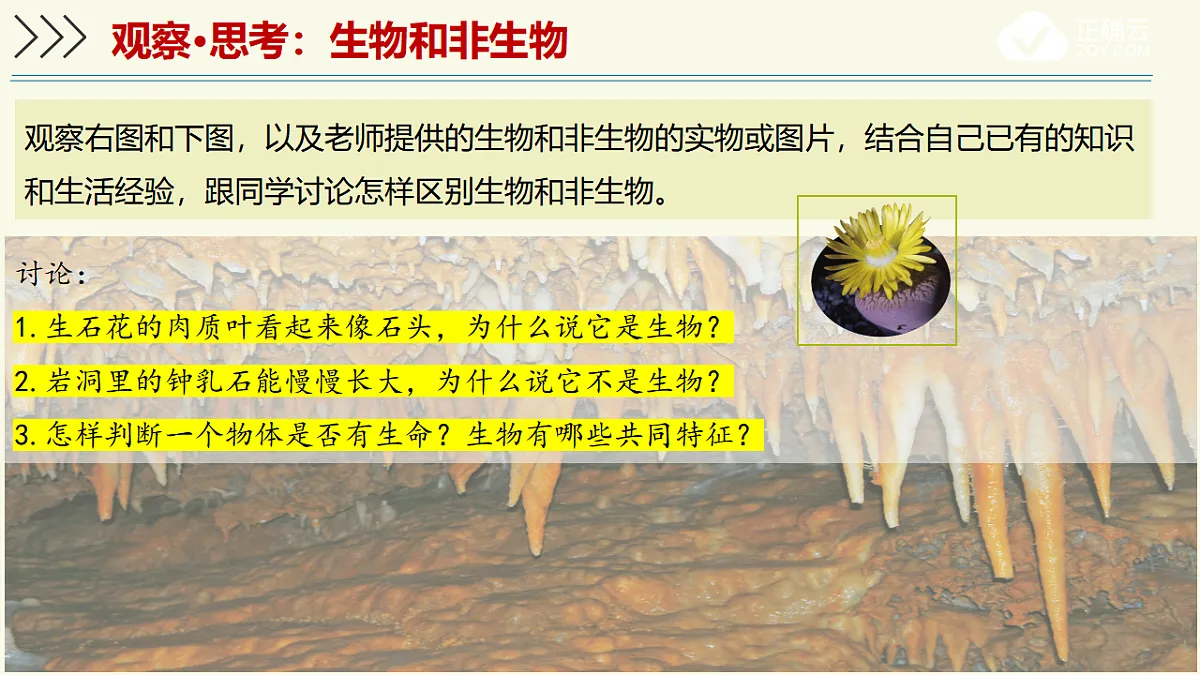17609239第5页