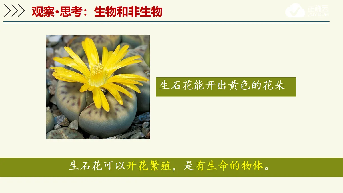 17609239第6页