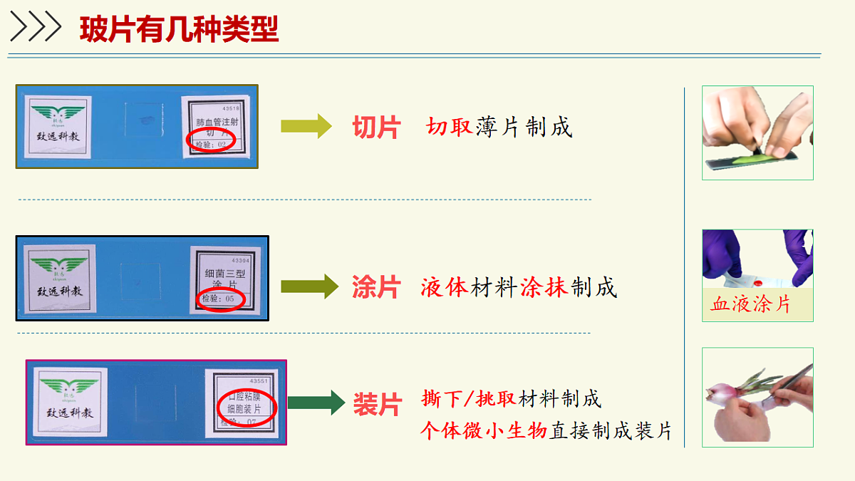 17609242第4页