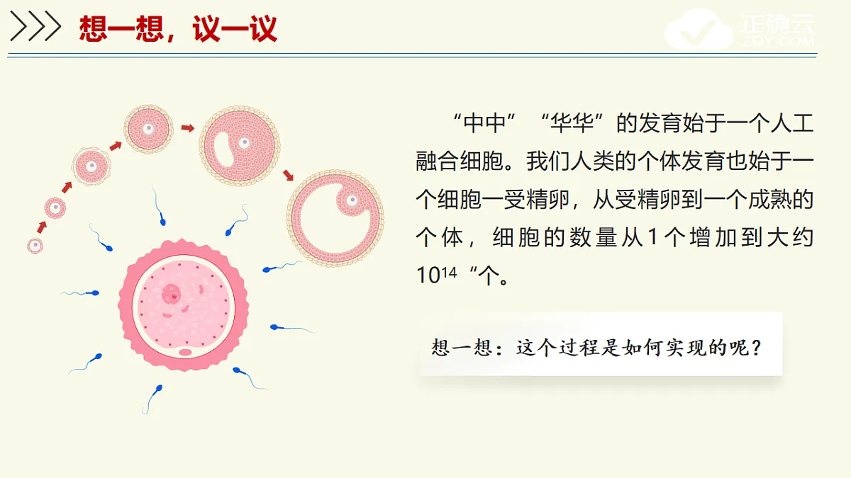 17609245第5页
