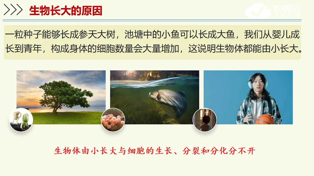 17609245第6页