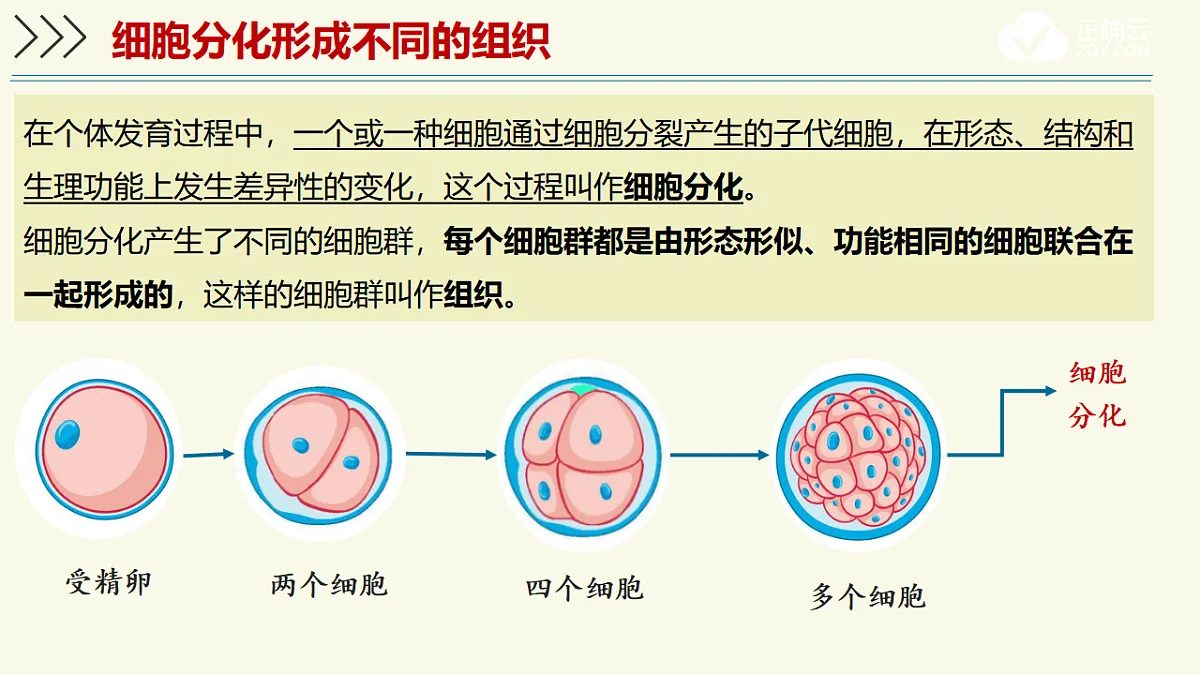 17609246第4页