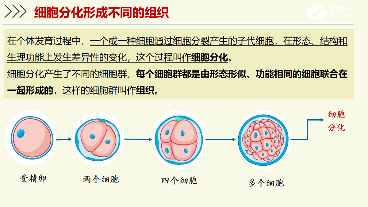 17609246第4页