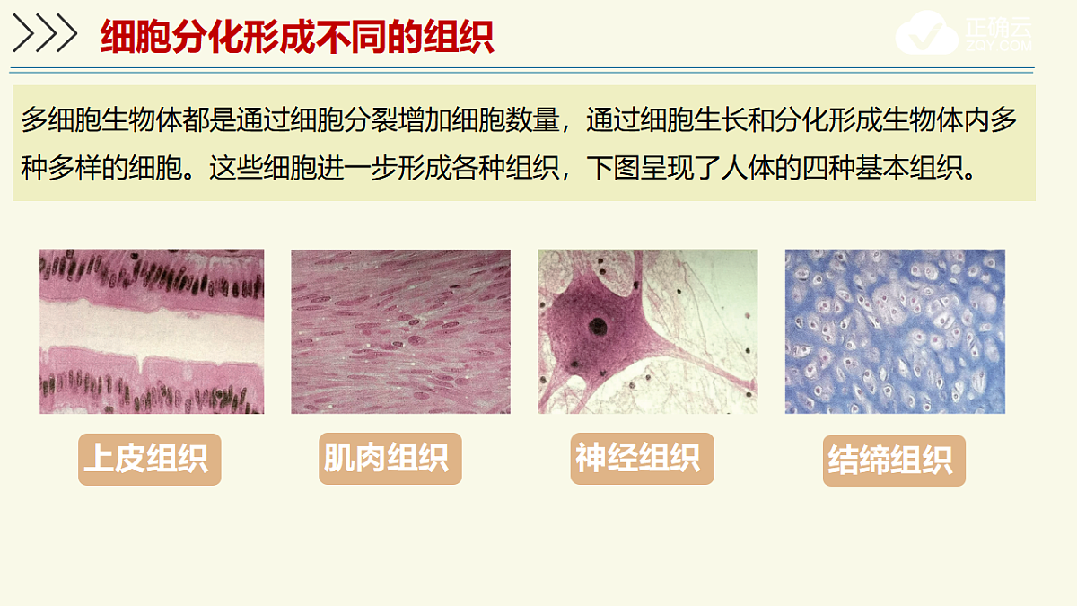 17609246第5页