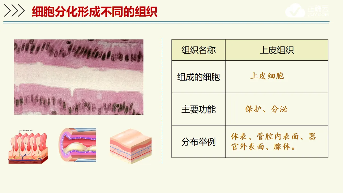 17609246第6页