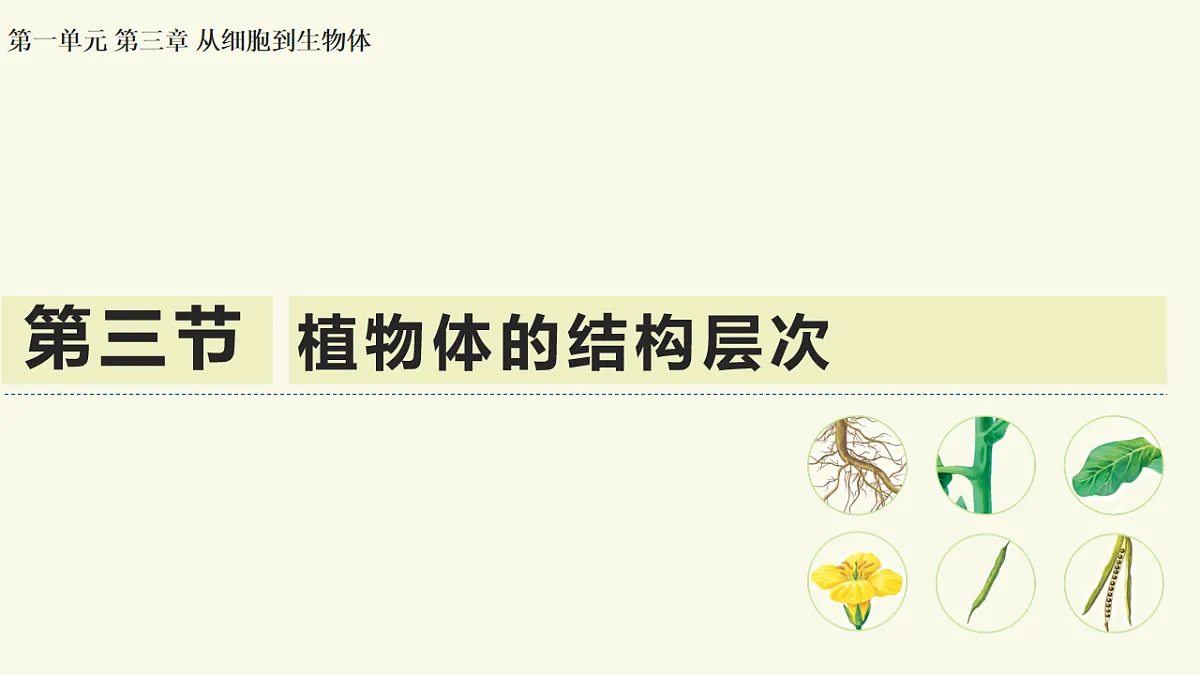 17609247第1页