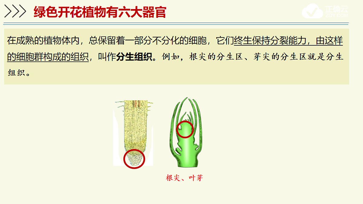 17609247第5页