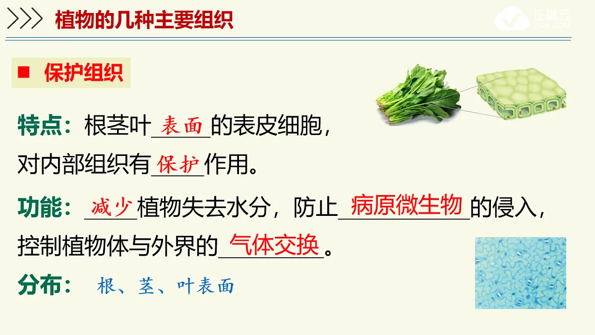 17609247第7页