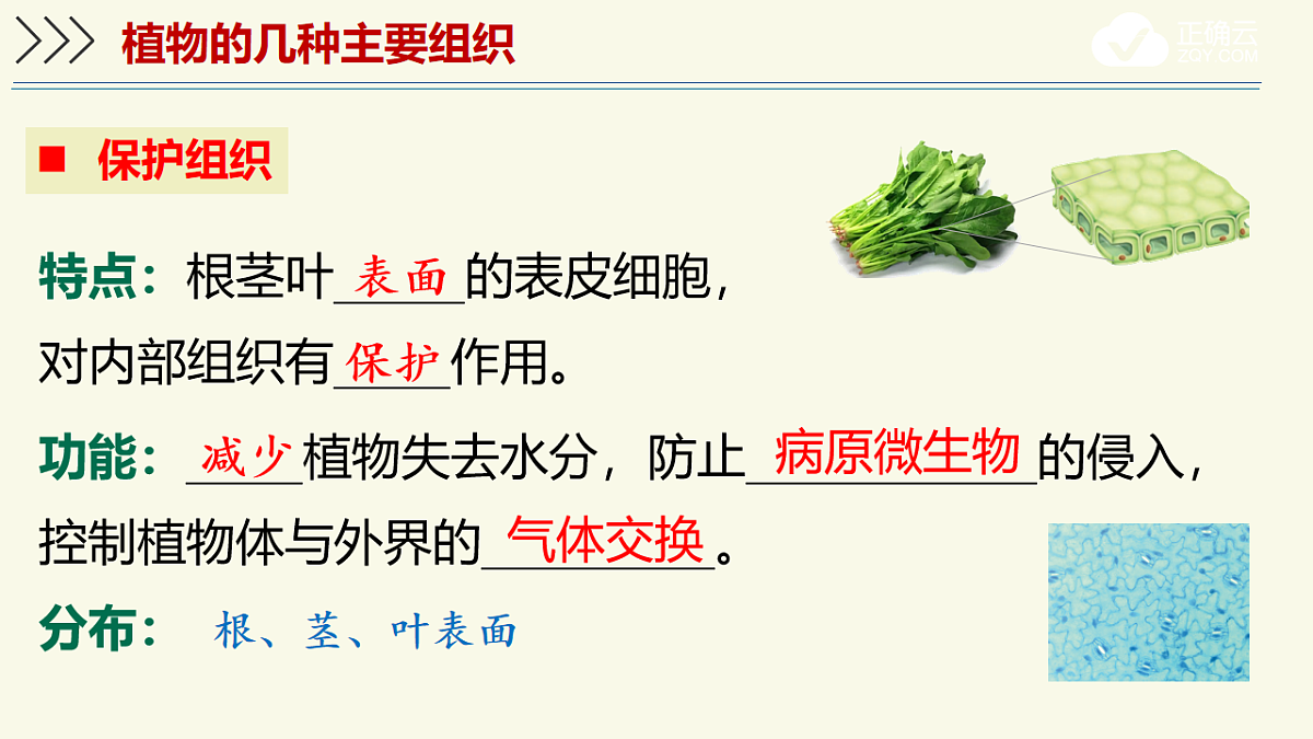 17609247第7页