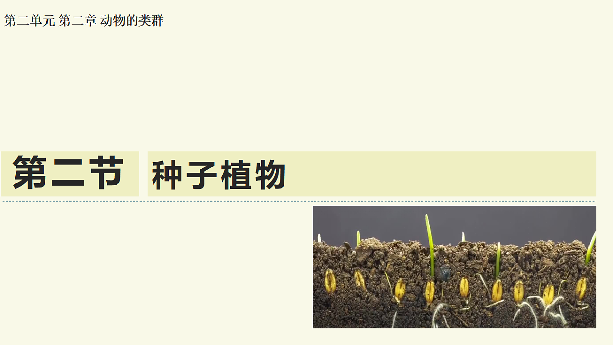 17609249第1页