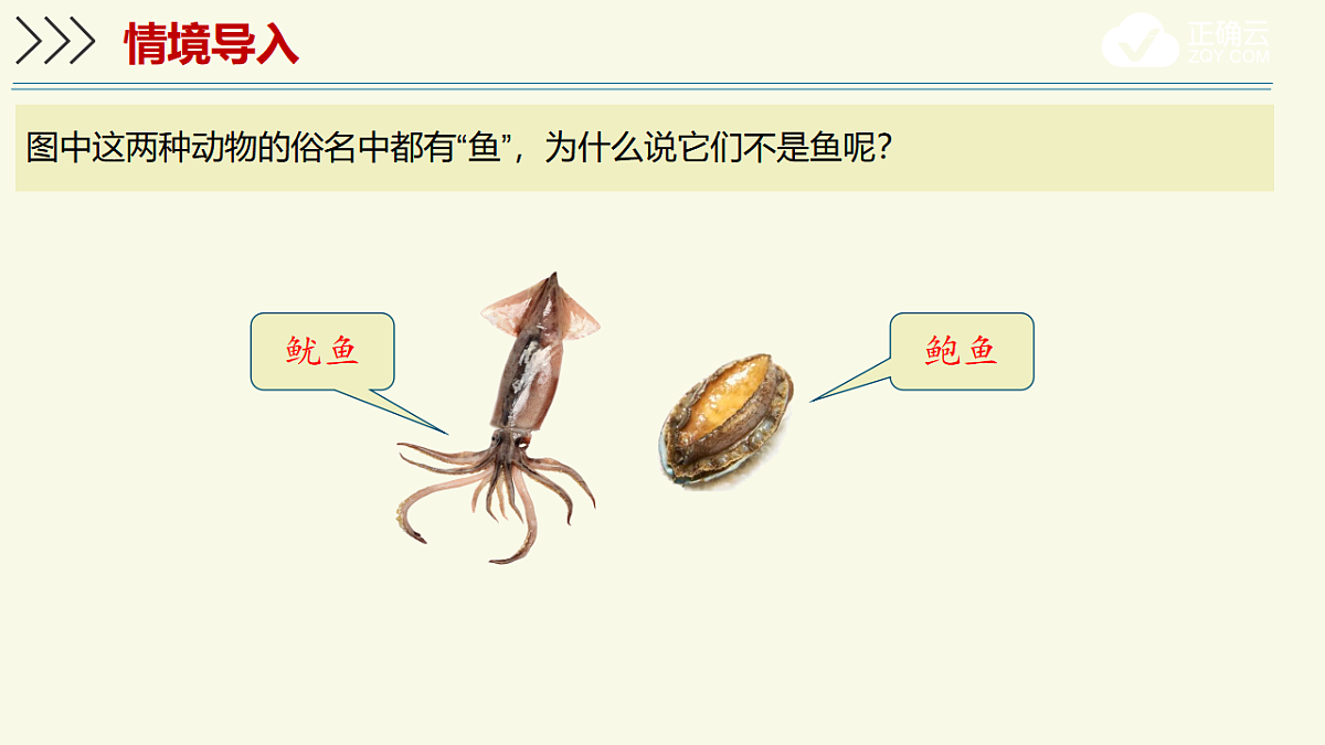 17609250第3页