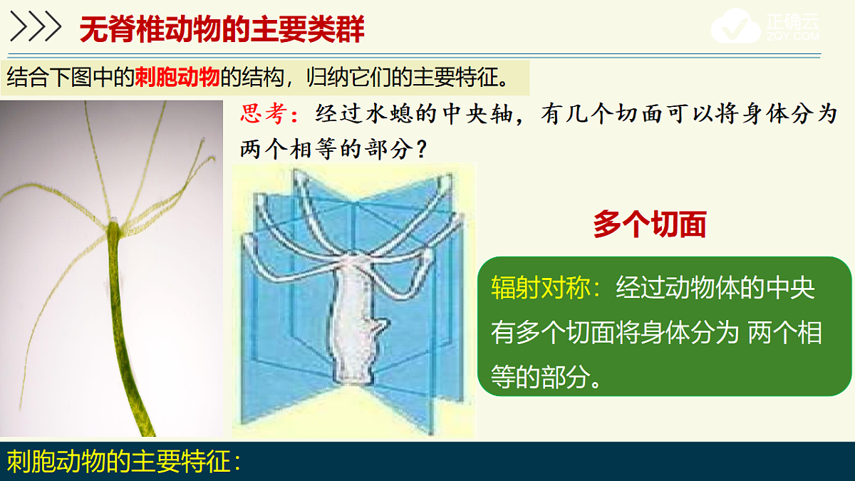 17609250第8页