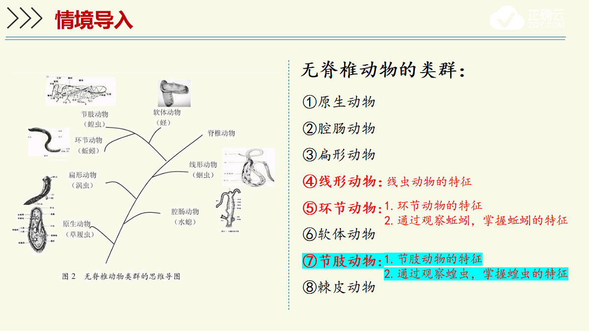17609251第3页