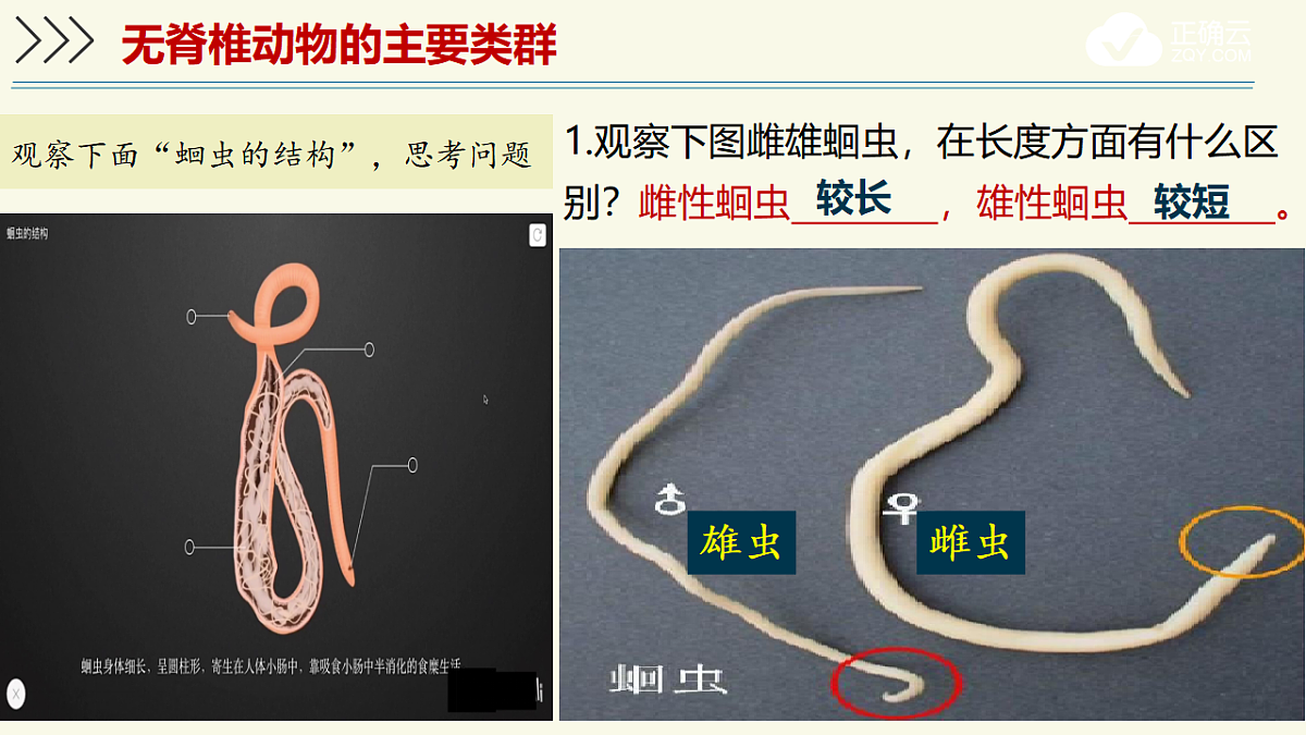 17609251第7页