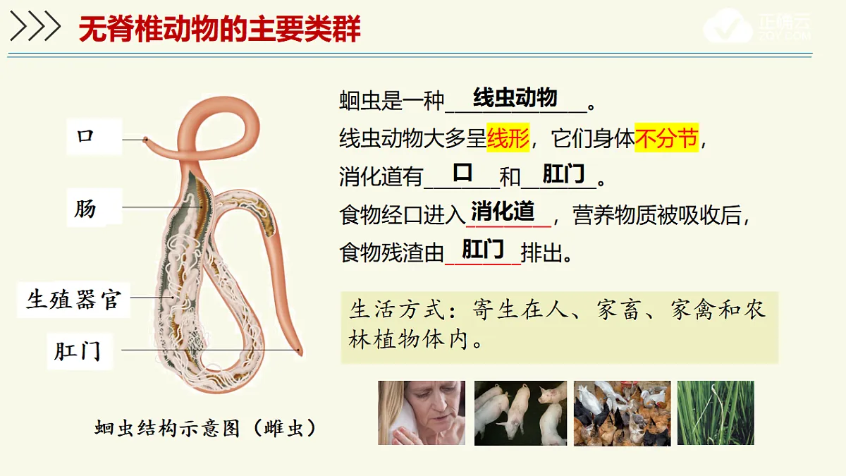 17609251第8页