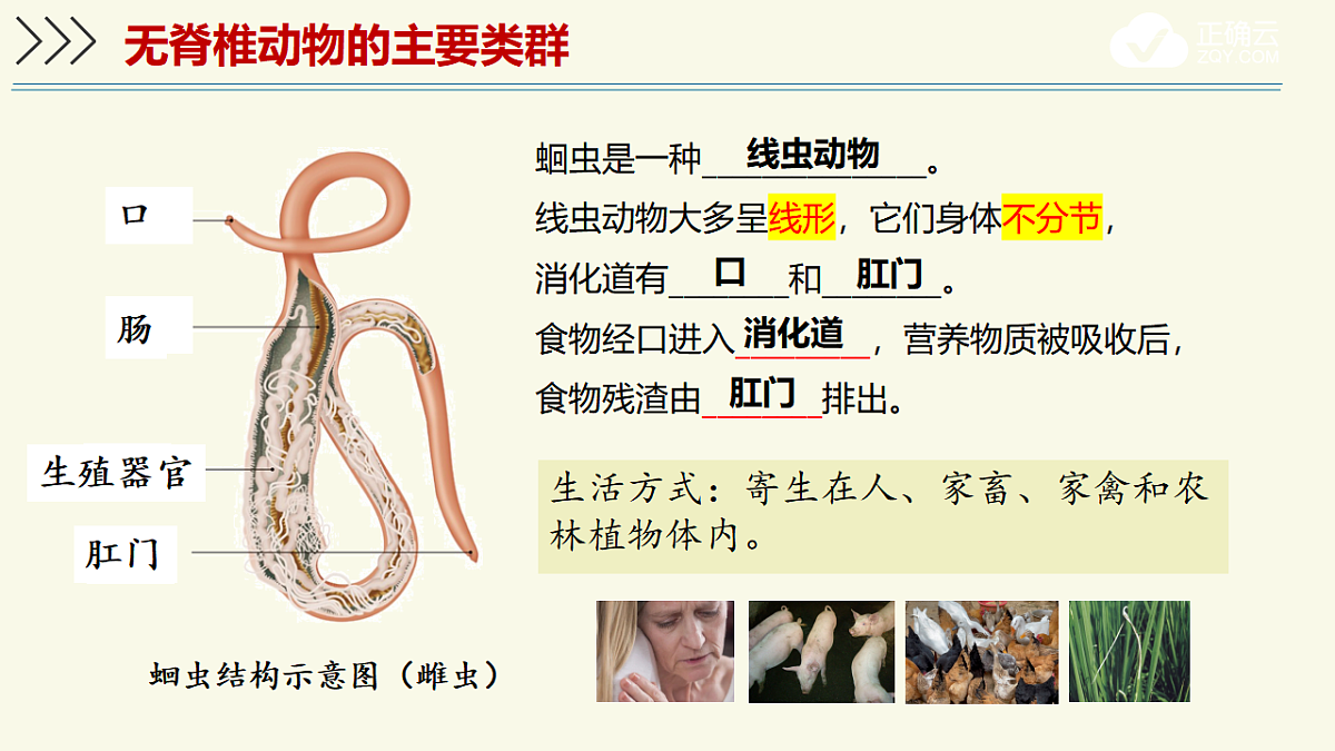 17609251第8页