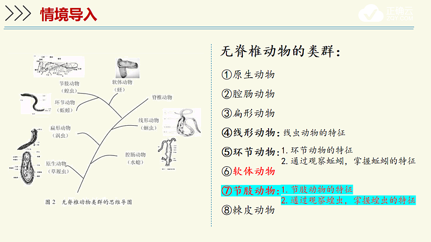17609252第3页