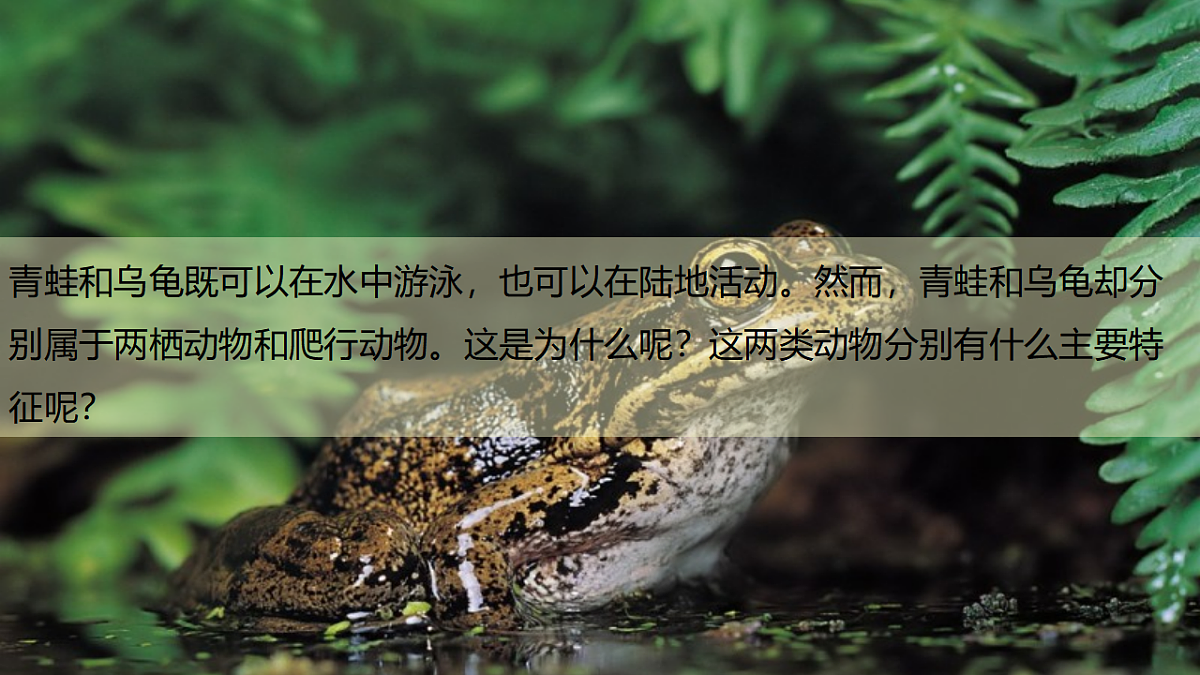 17609254第4页