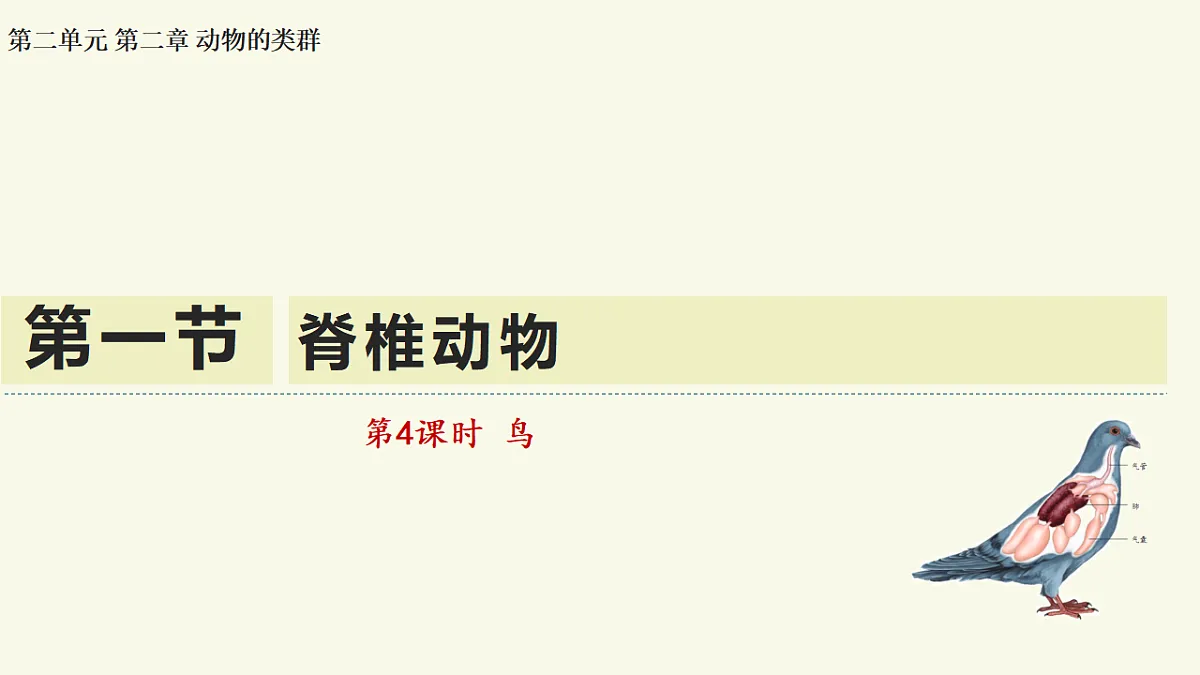 17609256第1页