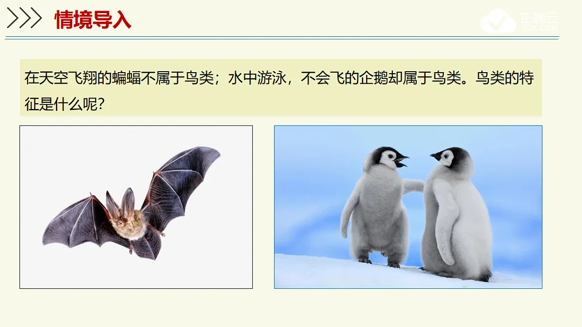 17609256第3页